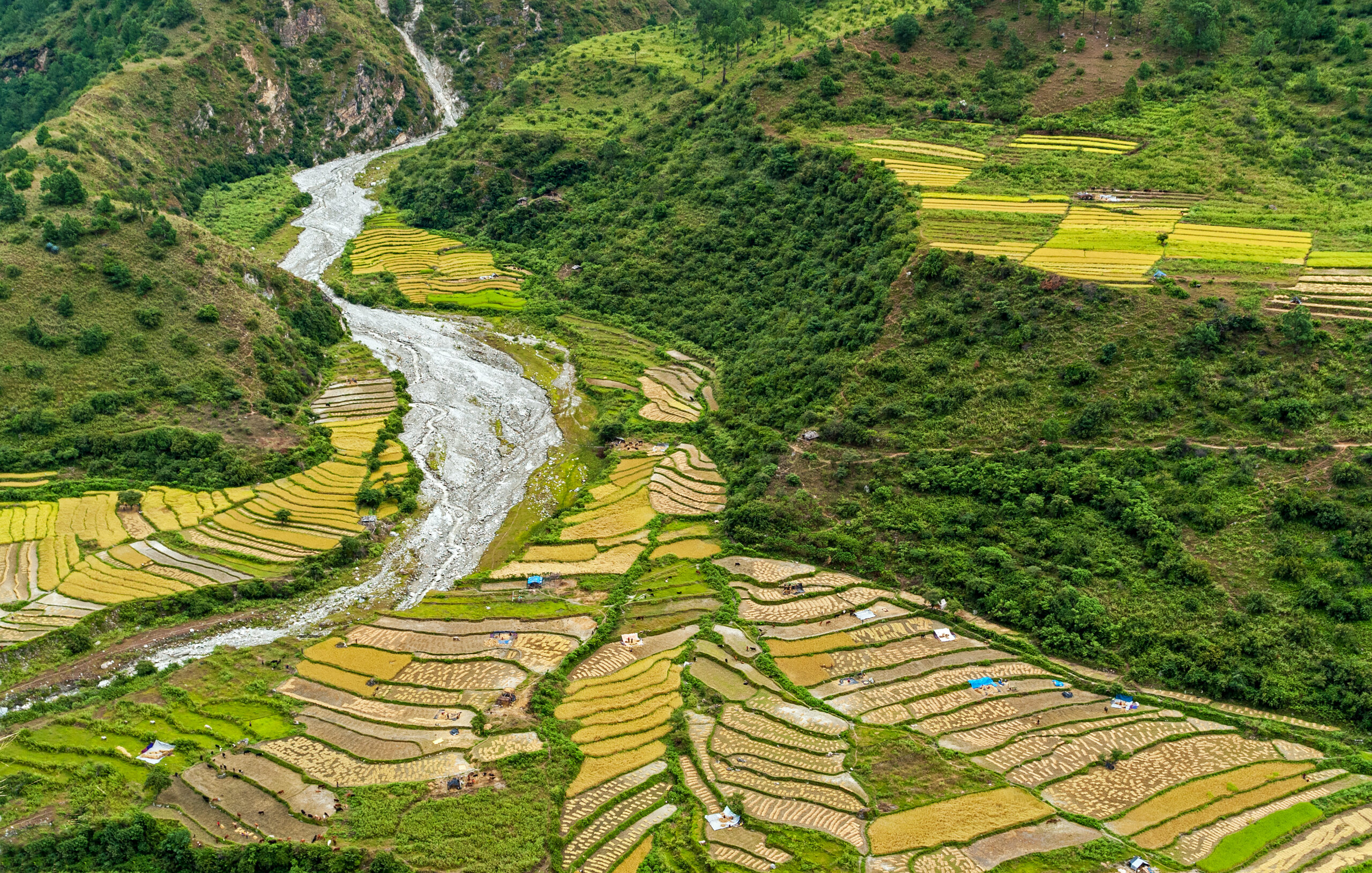 Fast-tracking climate services development at national level for Bhutan